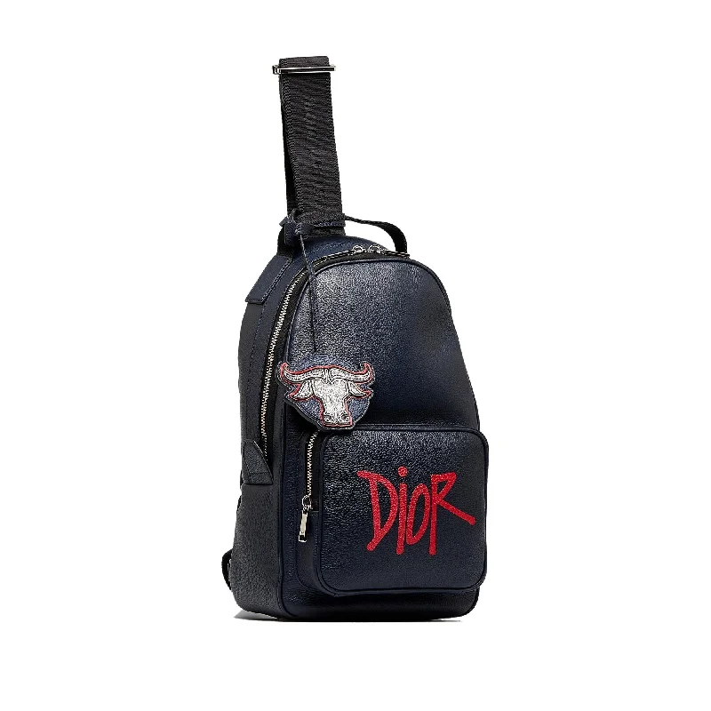 Christian Dior bags with a zip - top closure and multiple compartmentsDior x Shawn Stussy Year of the Ox Sling (nLJr34)